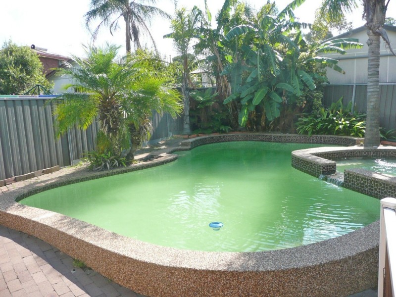 3 BURRA, Greystanes NSW 2145