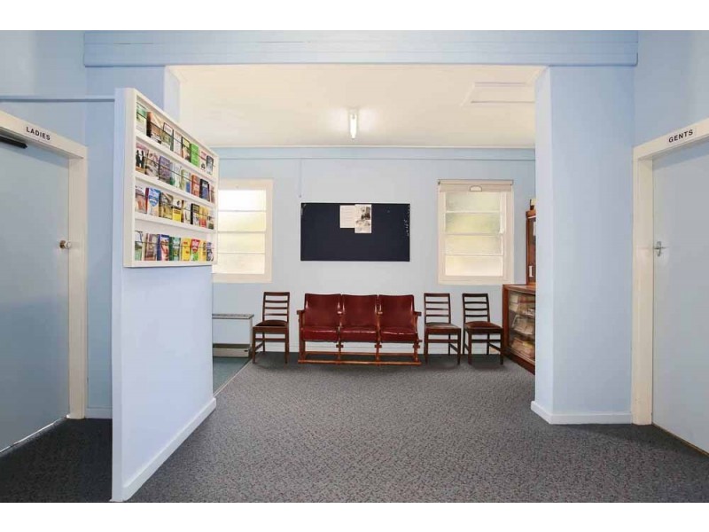 20 The Avenue, Granville NSW 2142