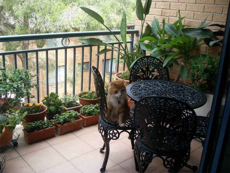 5/14 Paton Street, Merrylands West NSW 2160