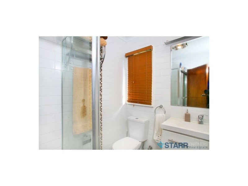 166  Gardenia Parade, Greystanes NSW 2145