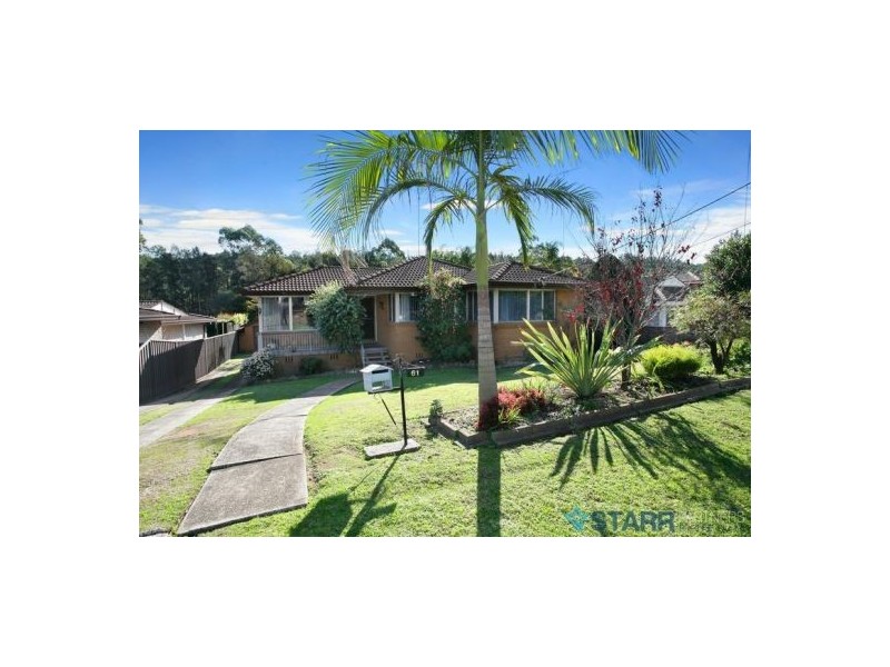 61 Munro Street, Greystanes NSW 2145