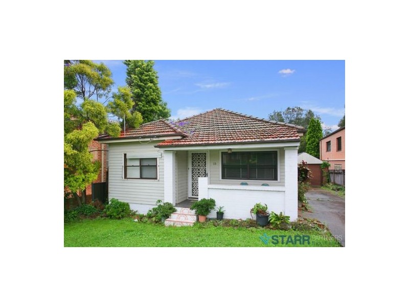 13 Young Street, Parramatta NSW 2150