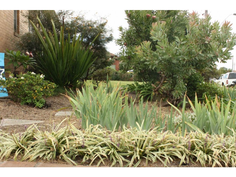 12/115  MILITARY ROAD, Guildford NSW 2161