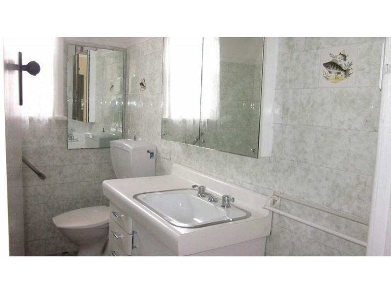 115  RICHMOND STREET, Merrylands NSW 2160