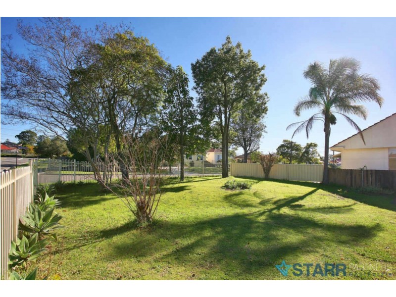 55  LANSDOWNE STREET, Merrylands NSW 2160