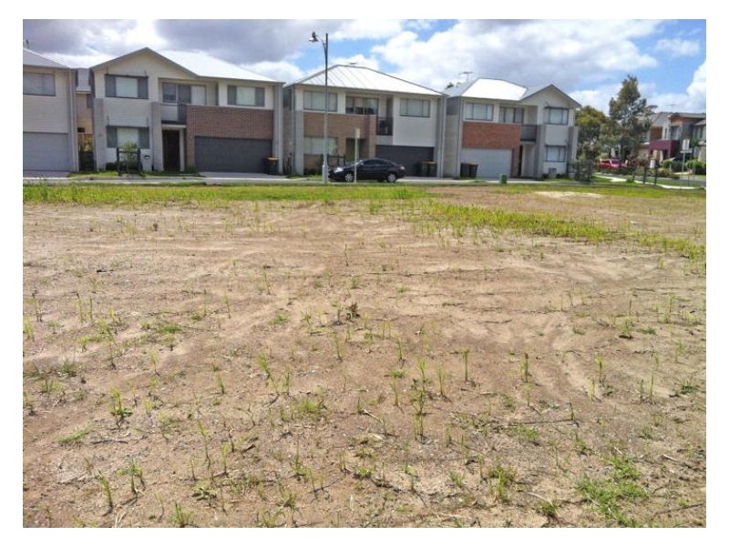 Lot 515 Driftway Drive, Pemulwuy NSW 2145