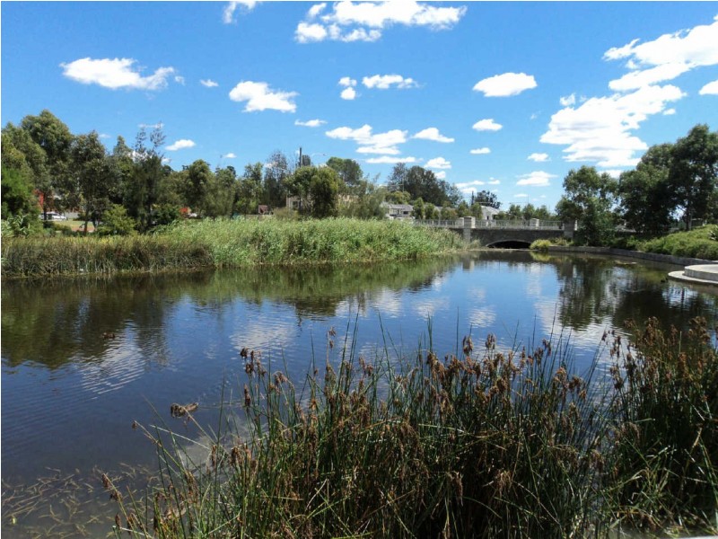 17  PARISH STREET, Pemulwuy NSW 2145