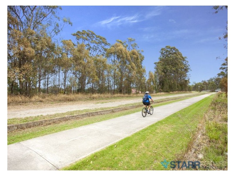 170 Gardenia Parade, Greystanes NSW 2145