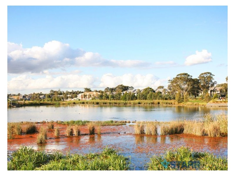 21 Dungara Drive, Pemulwuy NSW 2145