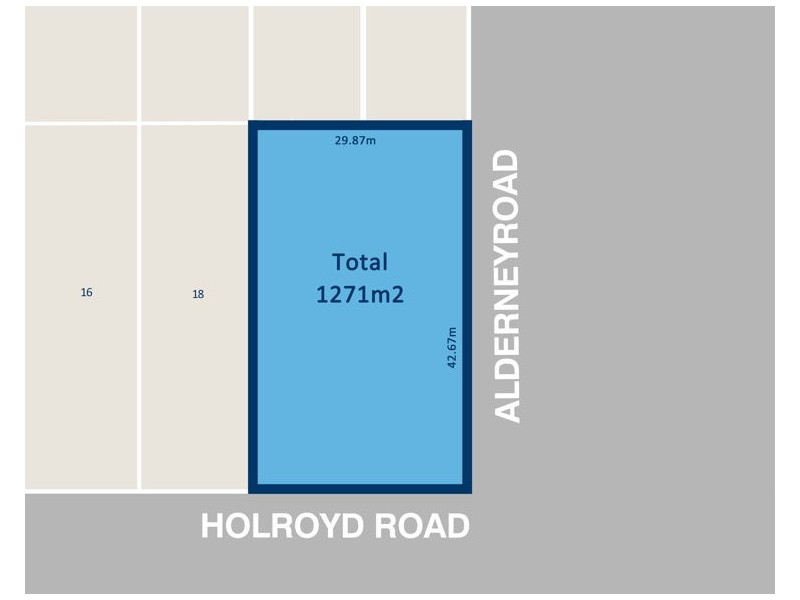 20 Holroyd Road, Merrylands NSW 2160