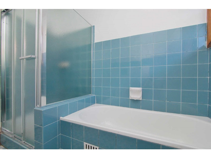 4 JUDITH STREET, Chester Hill NSW 2162