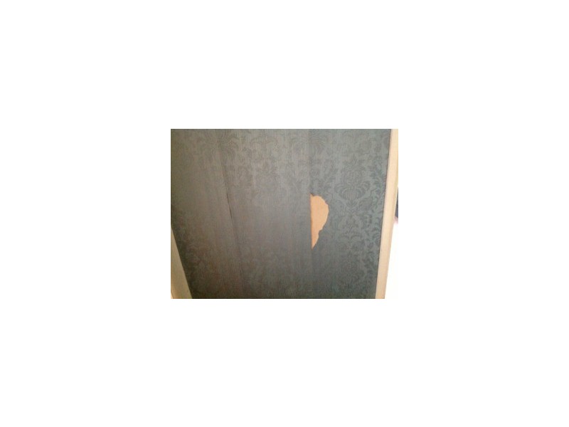 62 GRAND AVENUE, Westmead NSW 2145