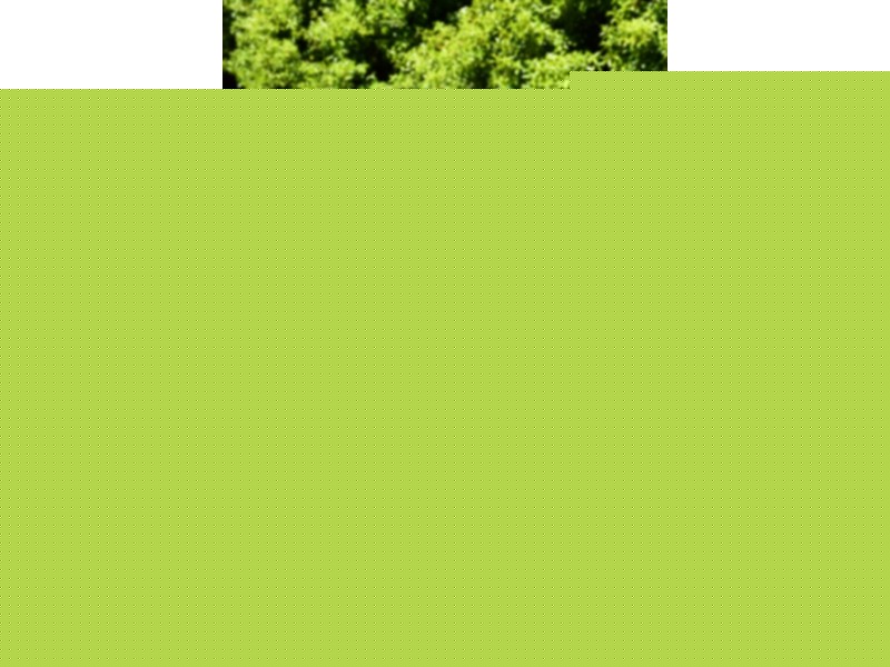 5 Goulburn Street, George Town TAS 7253