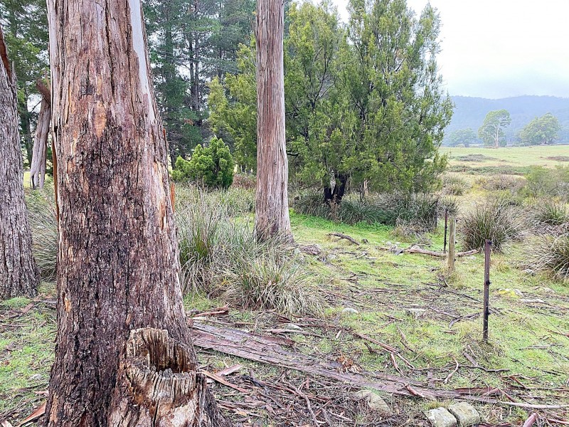 20 Magazine Road, Dilston TAS 7252