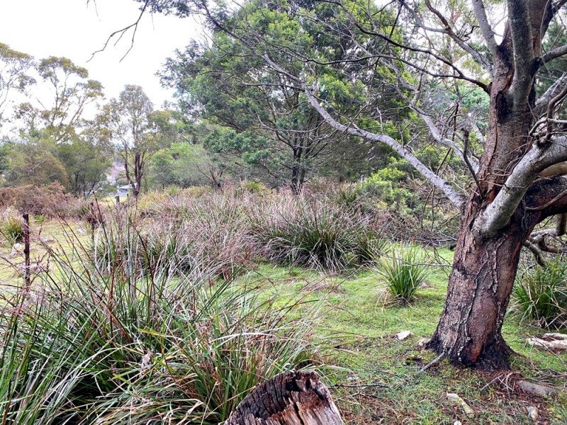 20 Magazine Road, Dilston TAS 7252