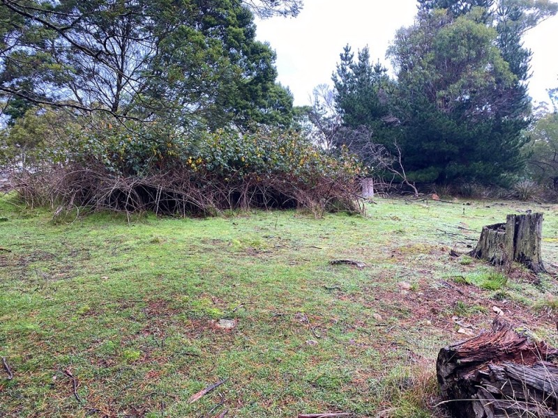 20 Magazine Road, Dilston TAS 7252