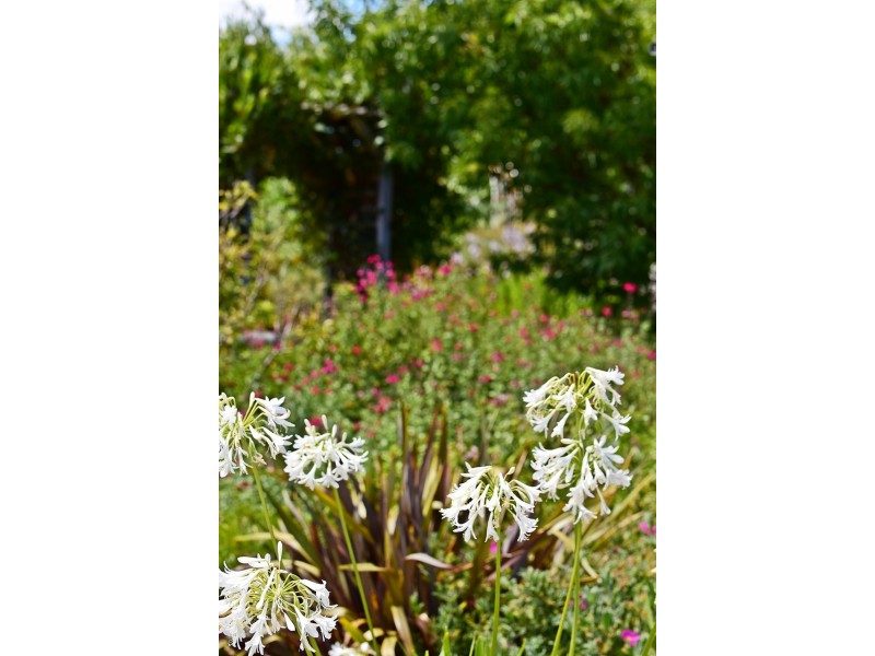 20 Gordon Square, George Town TAS 7253