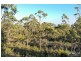 Bridport Road, Pipers Brook TAS 7254