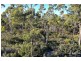 Bridport Road, Pipers Brook TAS 7254