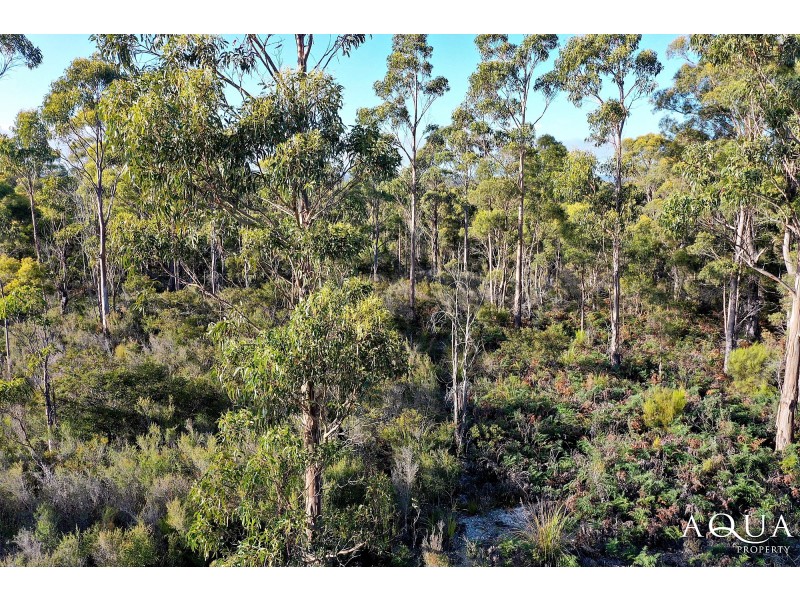 Bridport Road, Pipers Brook TAS 7254