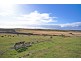 259 Old Aerodrome Road, Low Head TAS 7253