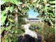 20 Gordon Sqaure, George Town TAS 7253