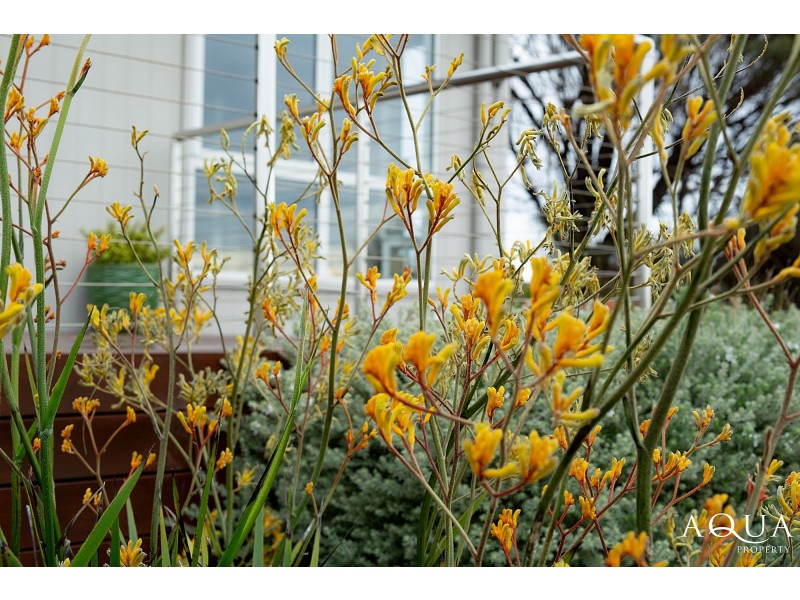 6 Ninth Island Crescent, Lulworth TAS 7252