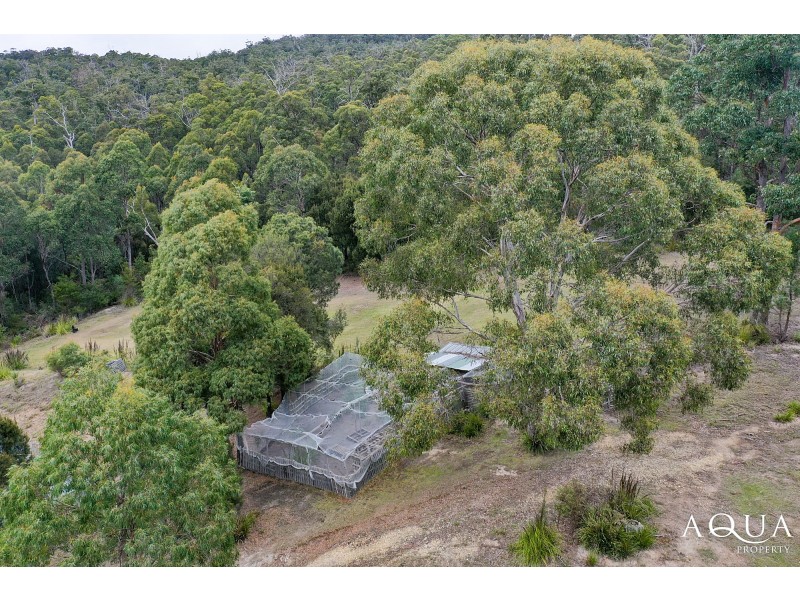 6403 Bridport Road, George Town TAS 7253