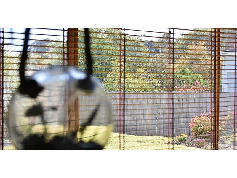 1/1 Perrin Drive, Low Head TAS 7253