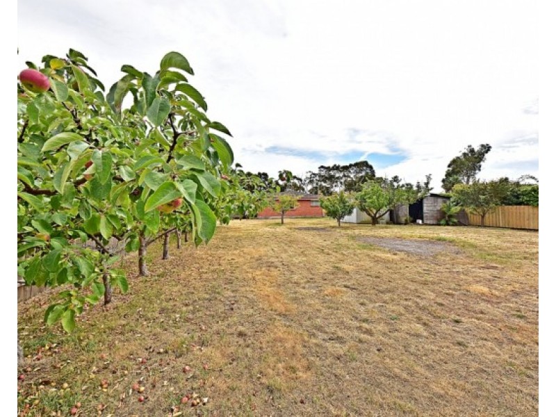 44 South Street, George Town TAS 7253