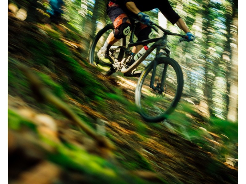 31,33 Friend Street, George Town TAS 7253