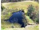 68 Troopers Track, Pipers River TAS 7252
