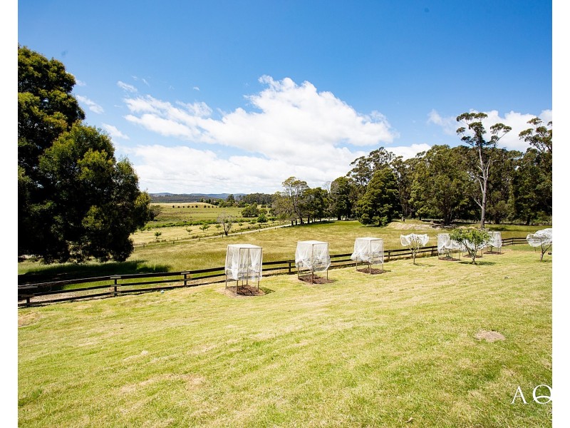 68 Troopers Track, Pipers River TAS 7252