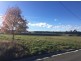 10 Luck Street, Spreyton TAS 7310