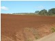 53 Pumping Station Road, Forth TAS 7310