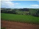 53 Pumping Station Road, Forth TAS 7310