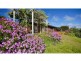 201 Kelcey Tier Road, Spreyton TAS 7310