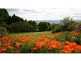 201 Kelcey Tier Road, Spreyton TAS 7310