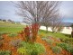 1 Hamilton Court, Sheffield TAS 7306