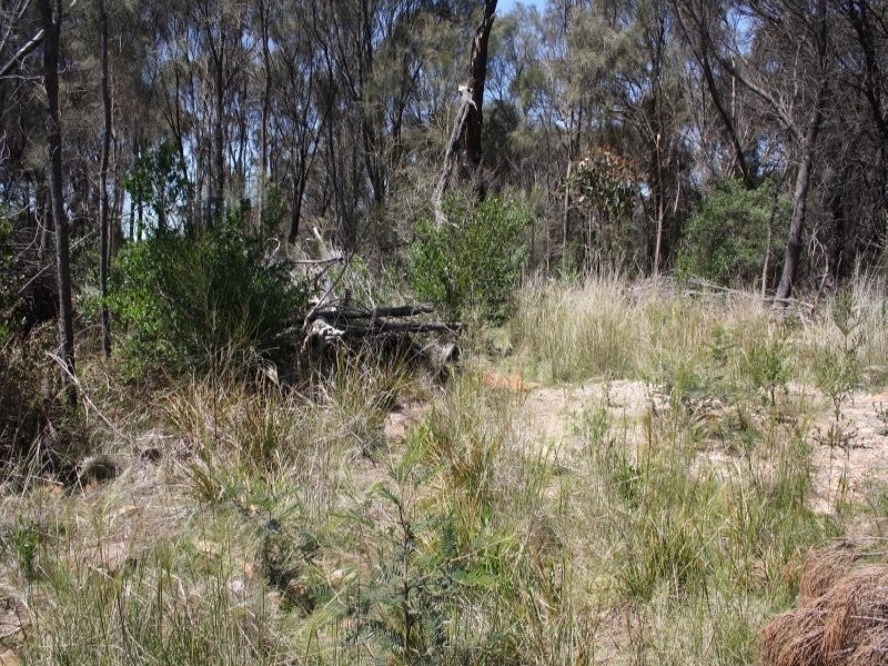 10 Rubicon Rise, Northdown TAS 7307