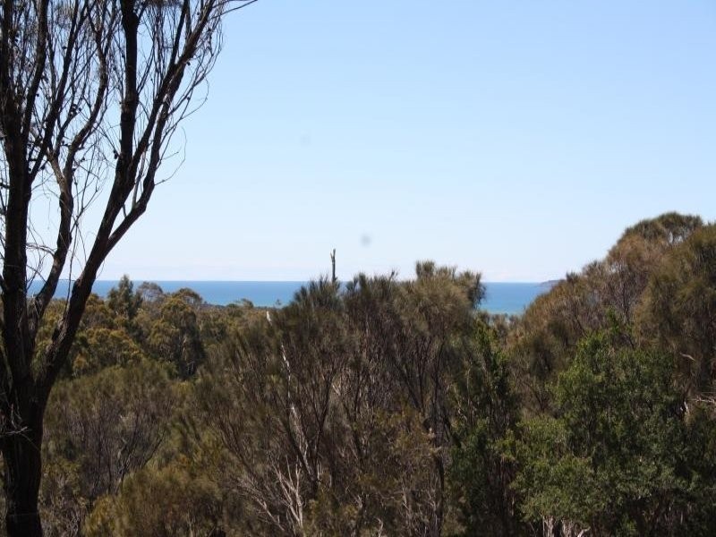 10 Rubicon Rise, Northdown TAS 7307