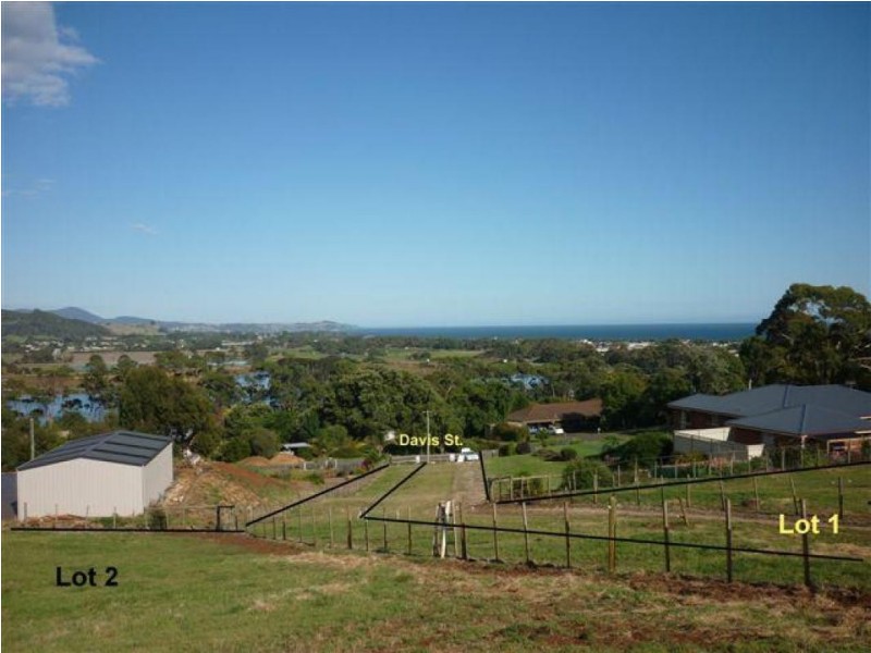 6 Davis Street, Leith TAS 7315