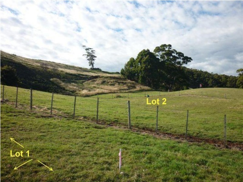 6 Davis Street, Leith TAS 7315