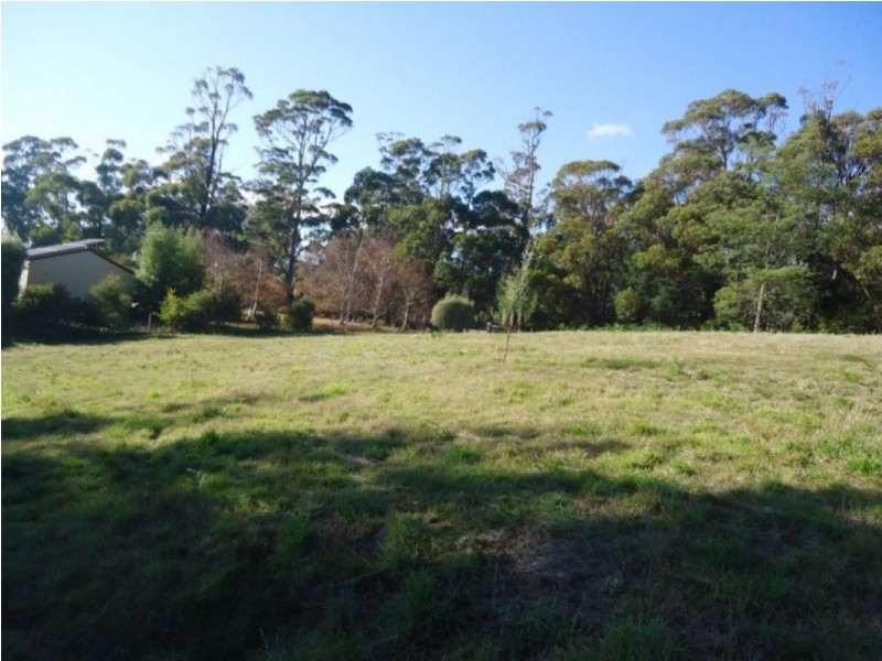 137 Knox Drive, South Spreyton TAS 7310