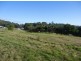 137 Knox Drive, South Spreyton TAS 7310