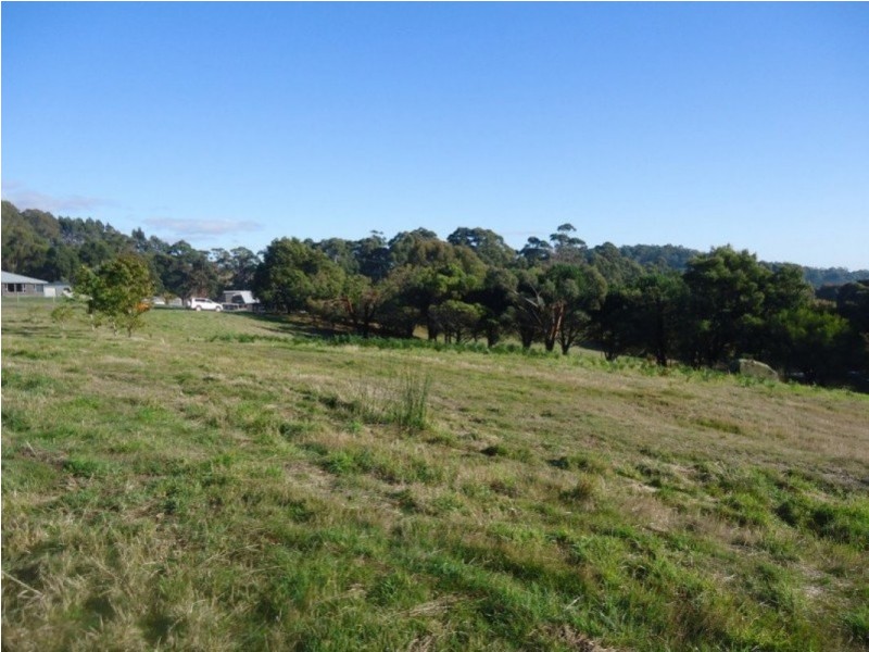 137 Knox Drive, South Spreyton TAS 7310