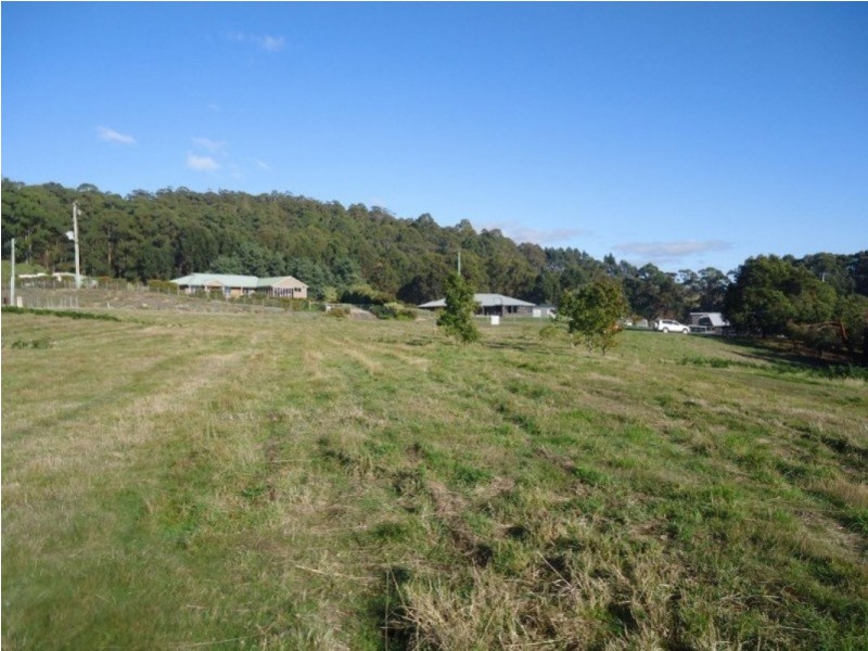 137 Knox Drive, South Spreyton TAS 7310