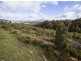 57A Berrigan Road, Miandetta TAS 7310