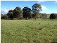 Dalwood Road, Nook TAS 7306