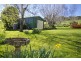 2 Dalrymple Street, Forth TAS 7310